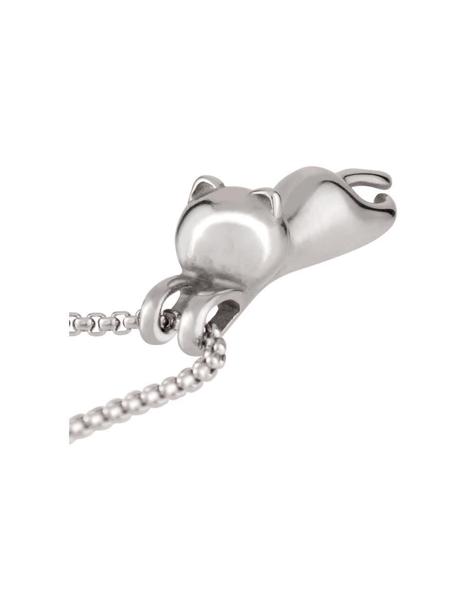 Collar gato 2