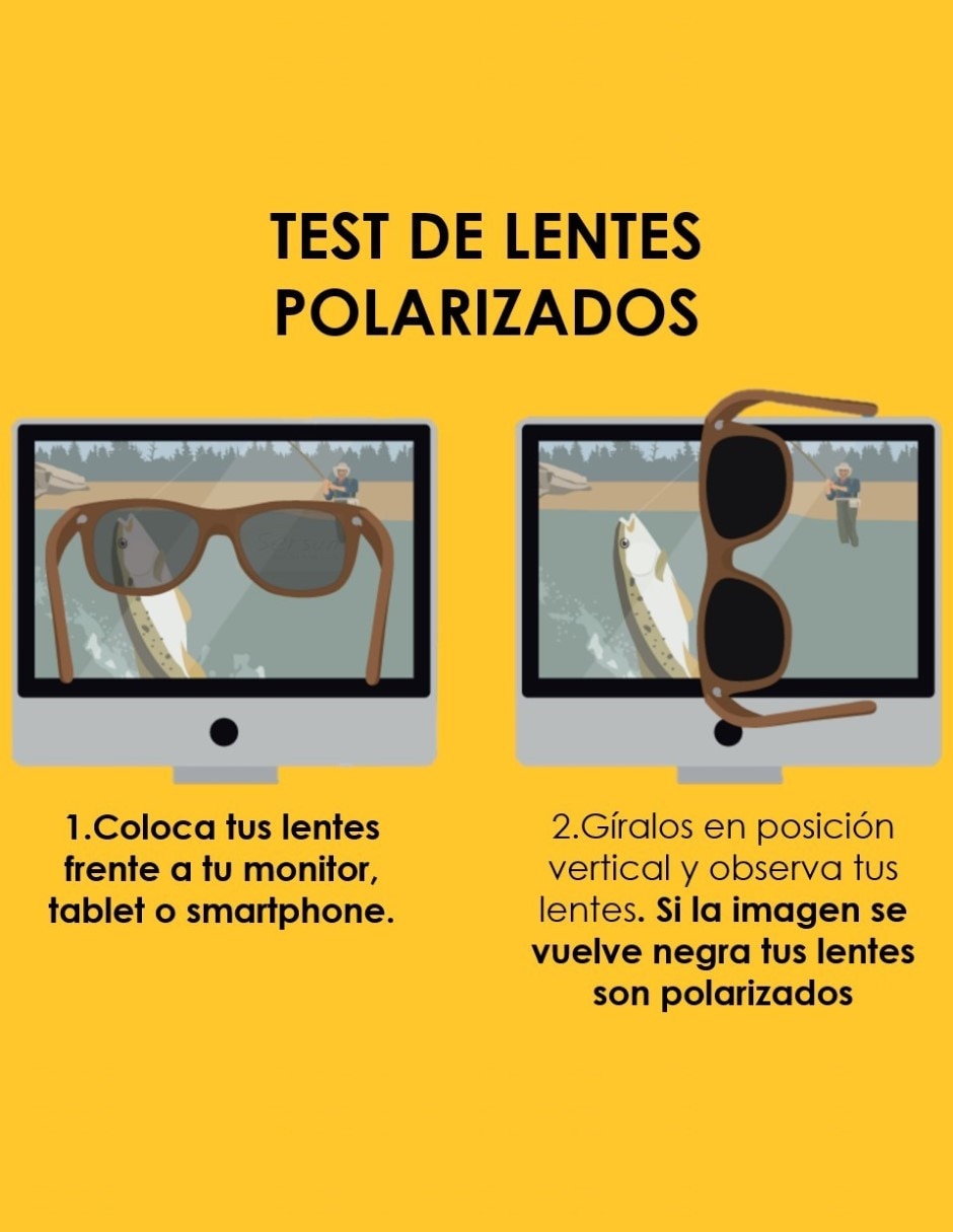 Lentes de sol P5377 POLARIZED unisex 5