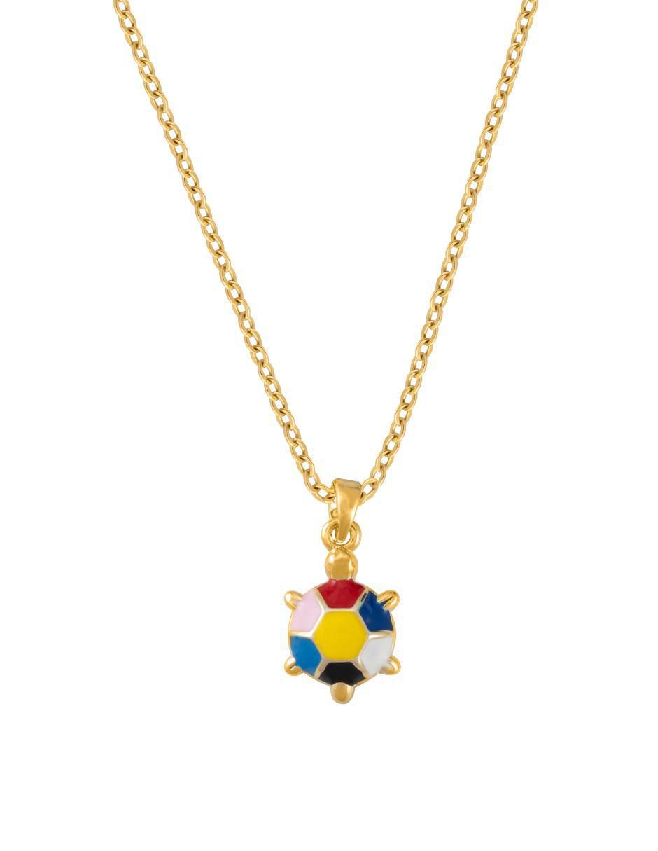 Collar con dije de tortuga