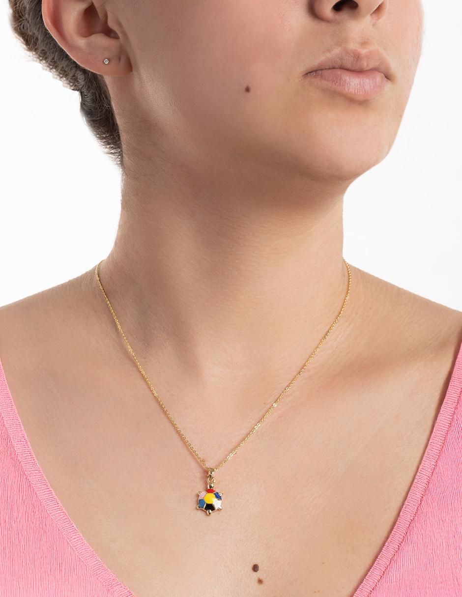 Collar con dije de tortuga 2