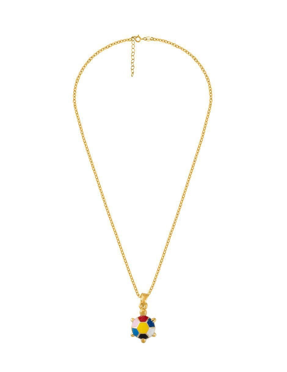 Collar con dije de tortuga 3