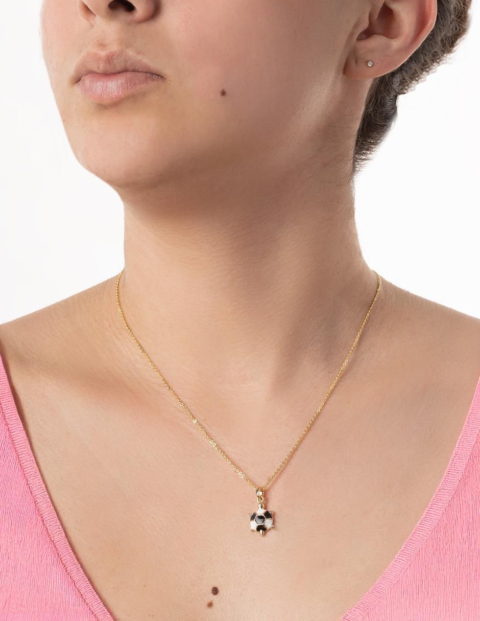 Collar con dije de tortuga 2