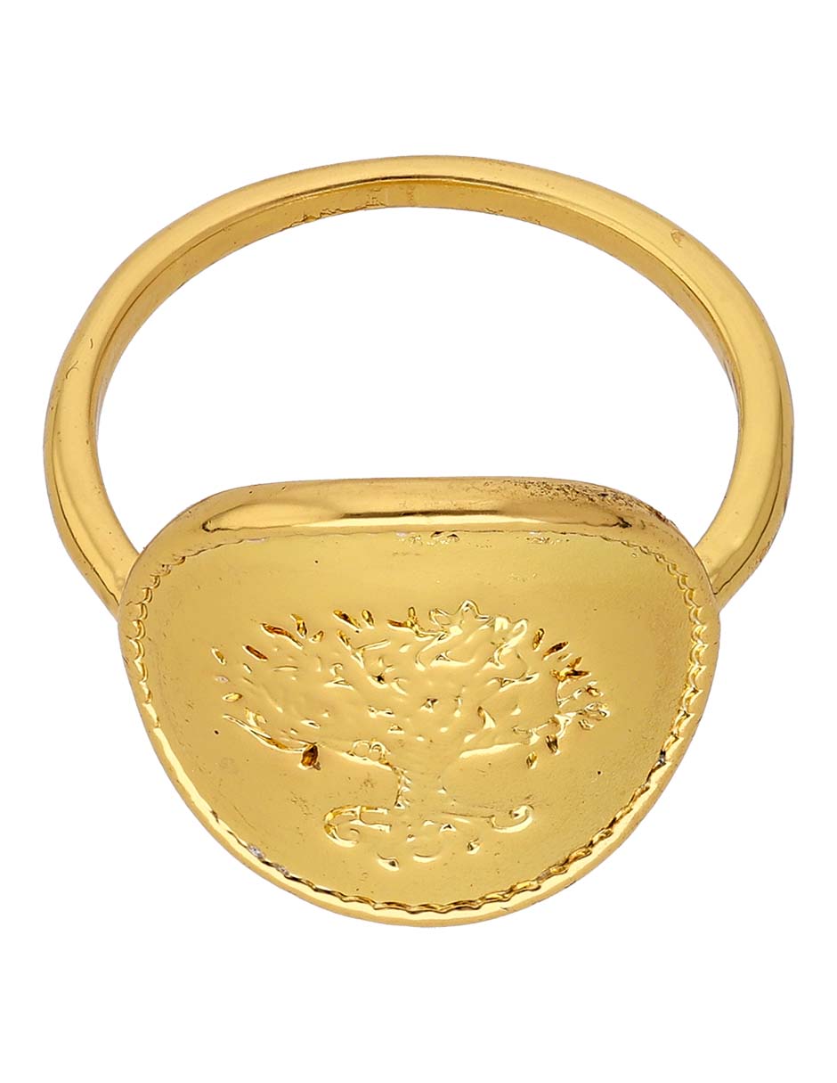 Anillo redondo pulido