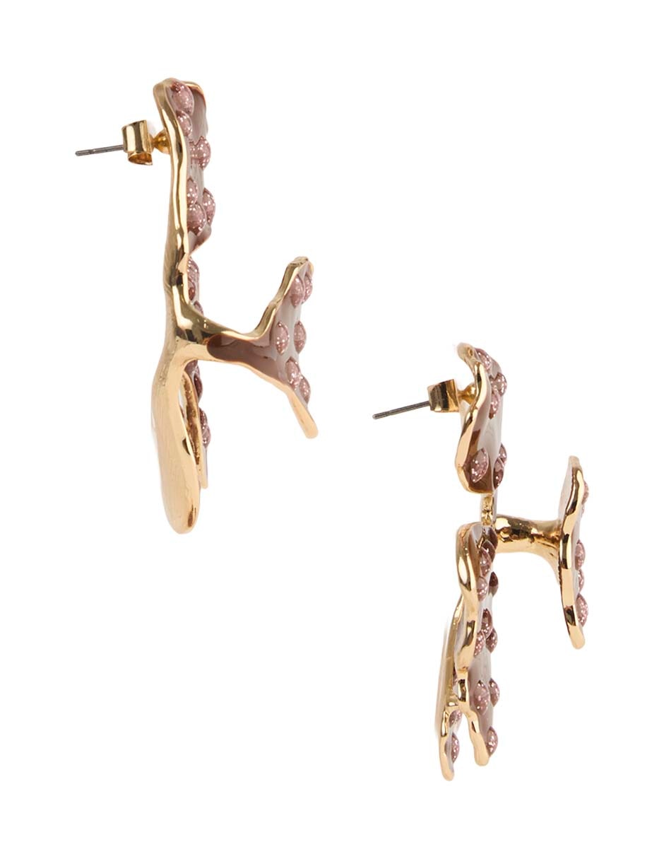 Aretes con acabado brillante 3