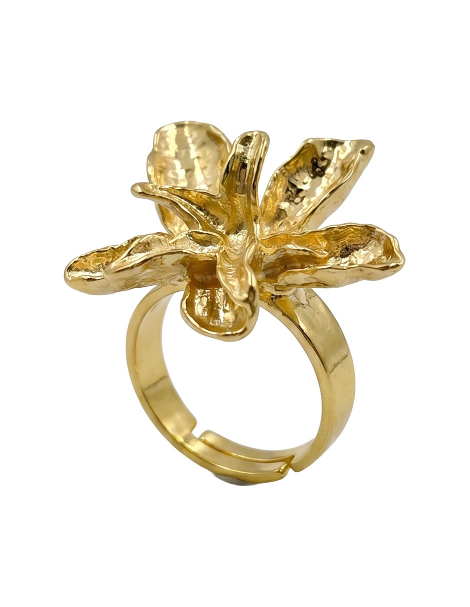 Anillo