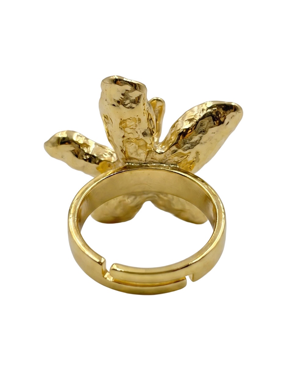 Anillo 2
