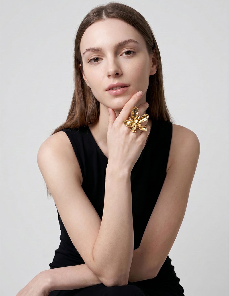 Anillo 3