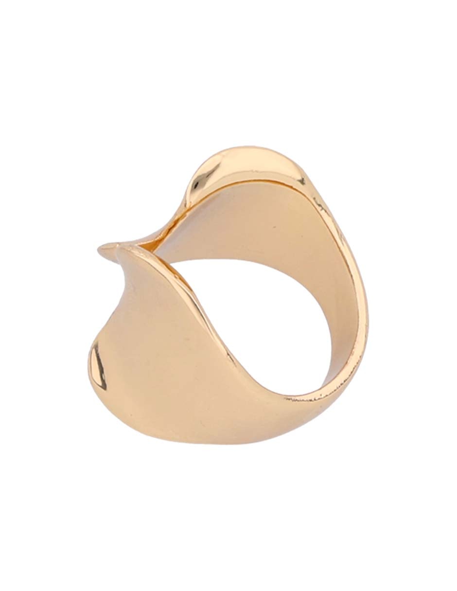 Anillo pulido 3