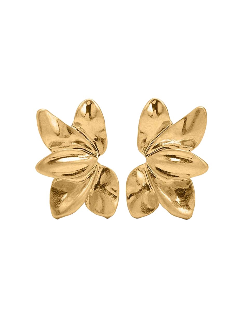Aretes con acabado brillante 1