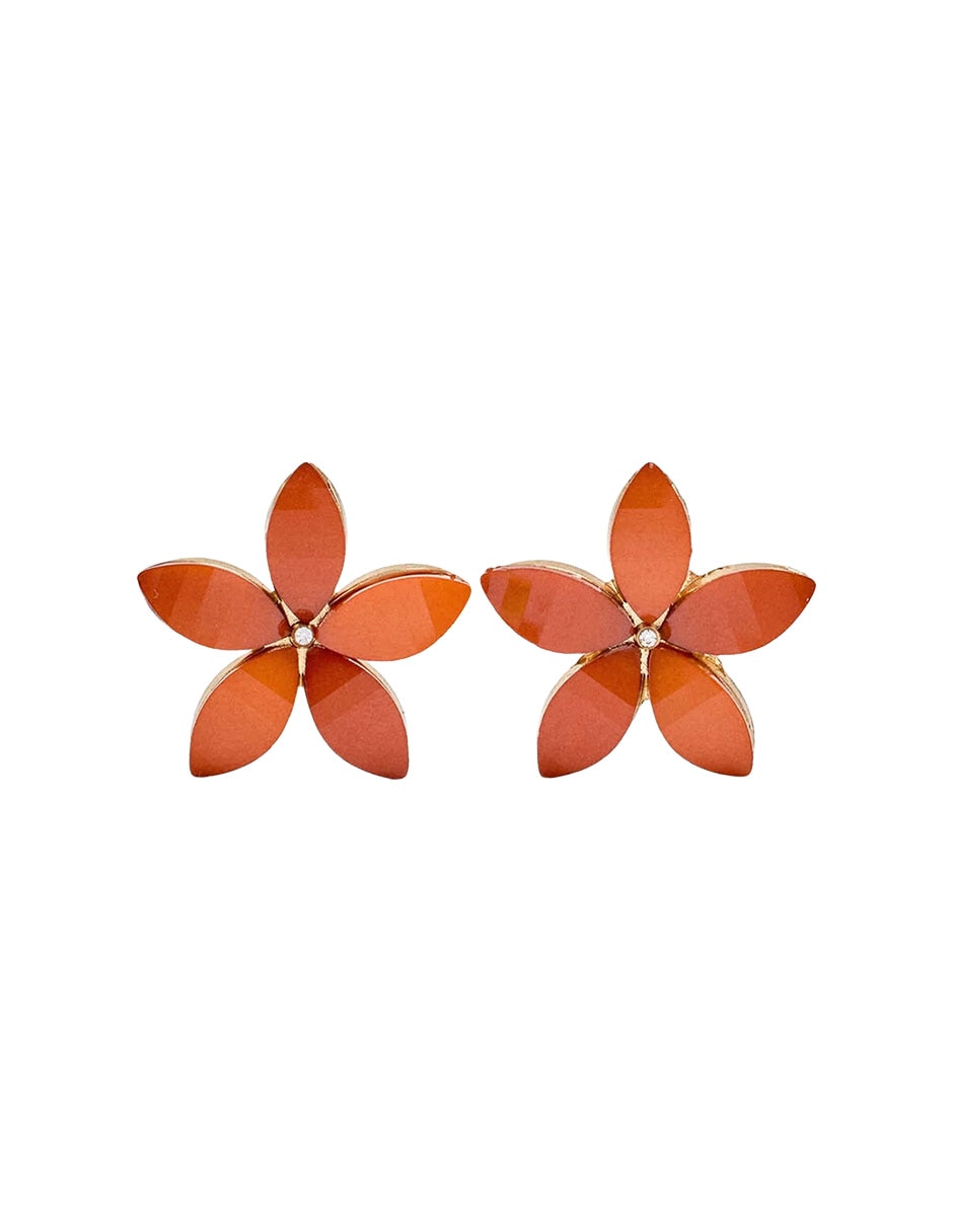 Aretes 1