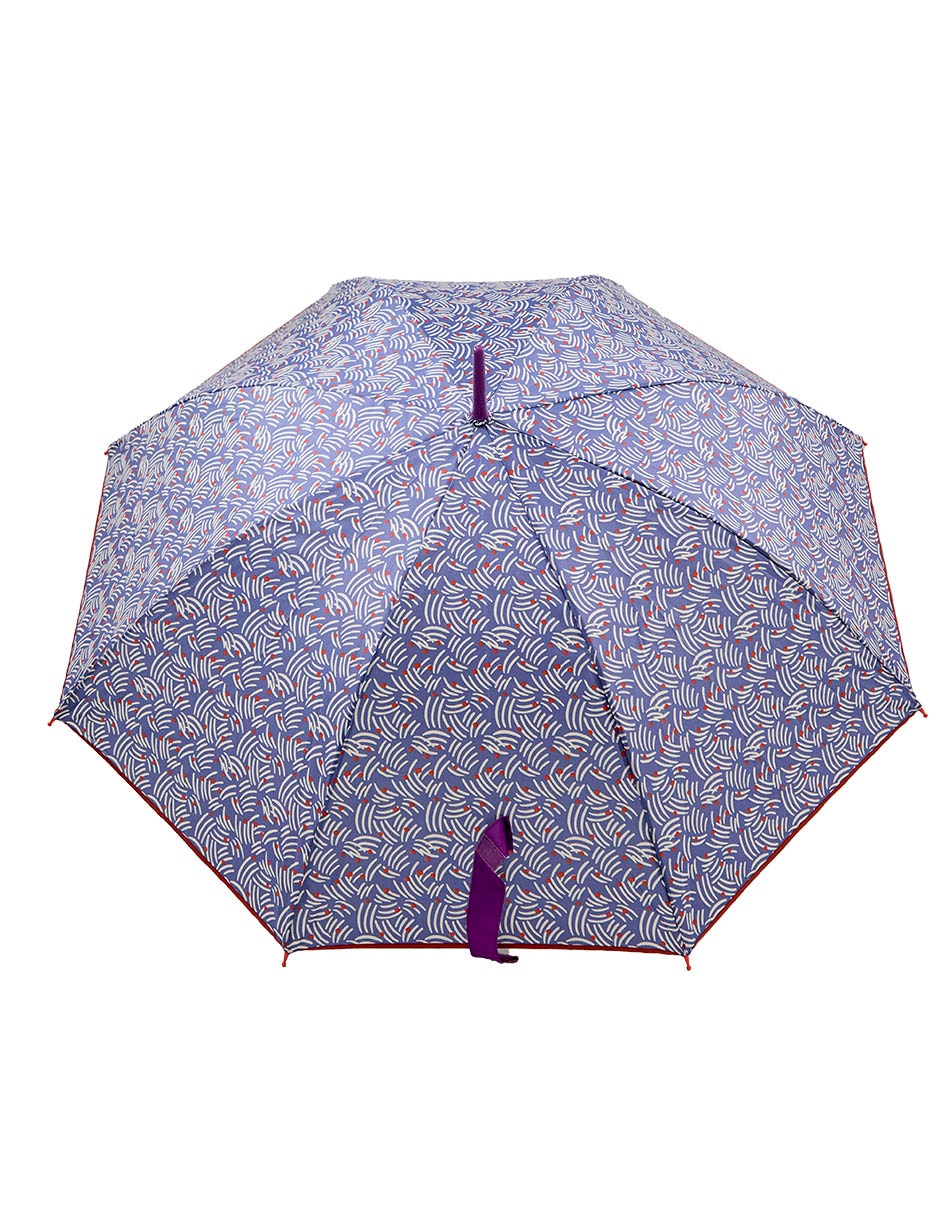 Morado 4