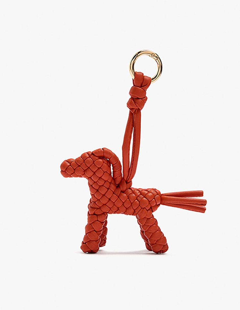 Charm de zinc