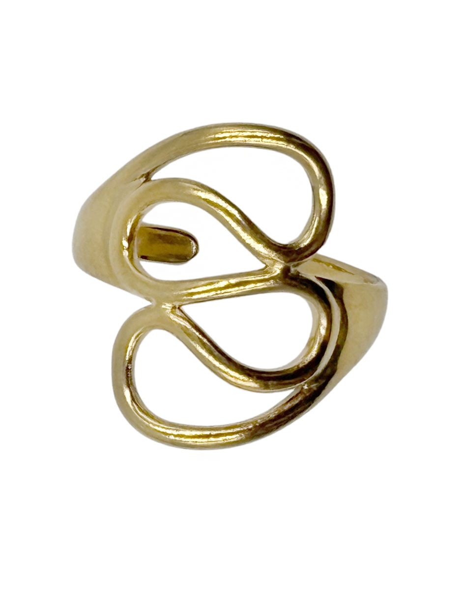 Anillo 1
