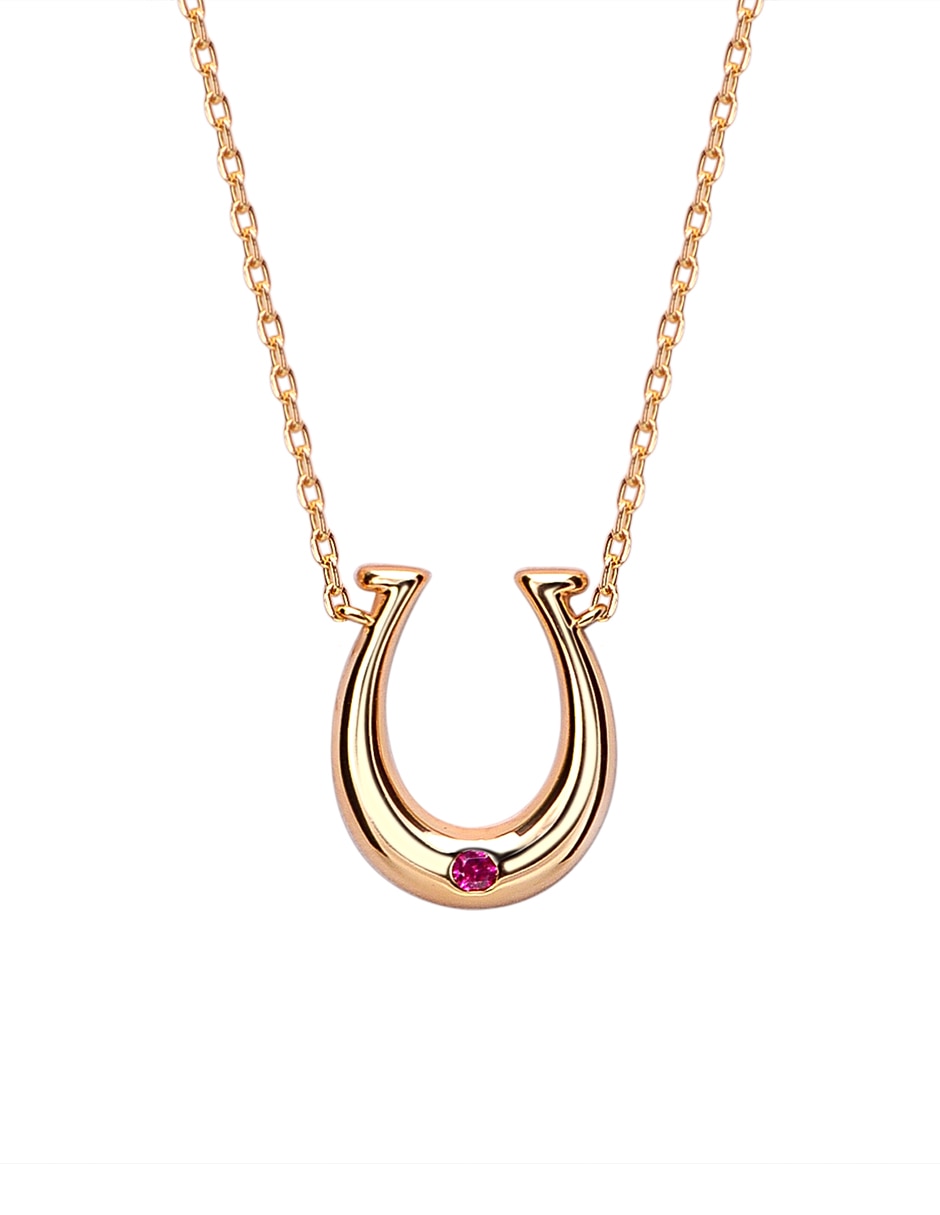 Collar con dije de herradura de plata p 925