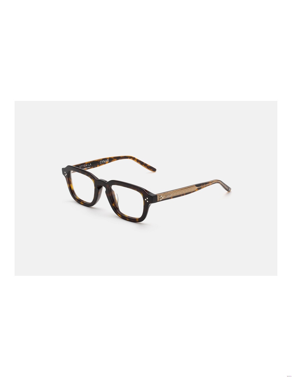 Lentes de sol cynar havana unisex
