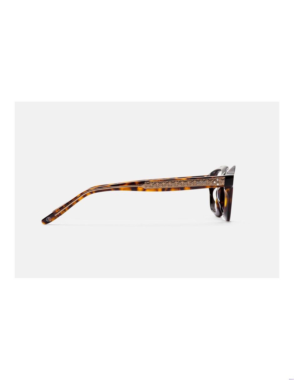 Lentes de sol cynar havana unisex