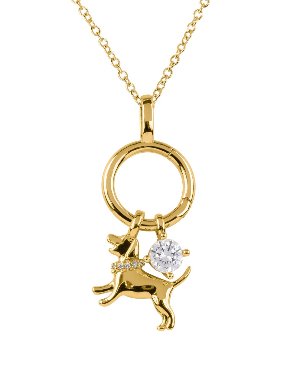 Collar con dije de perro noa 14 k 3