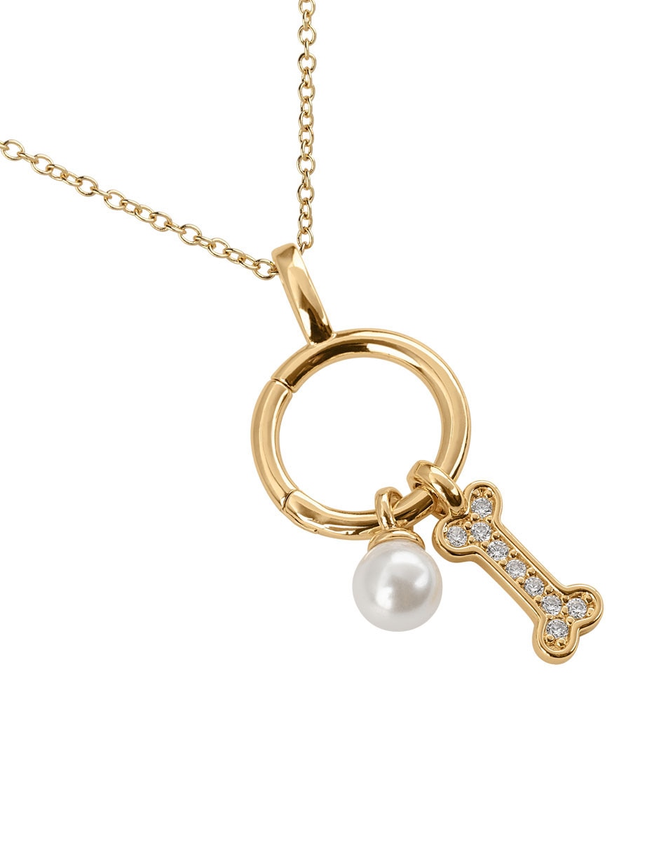 Collar con dije de perro noa 14 k 4