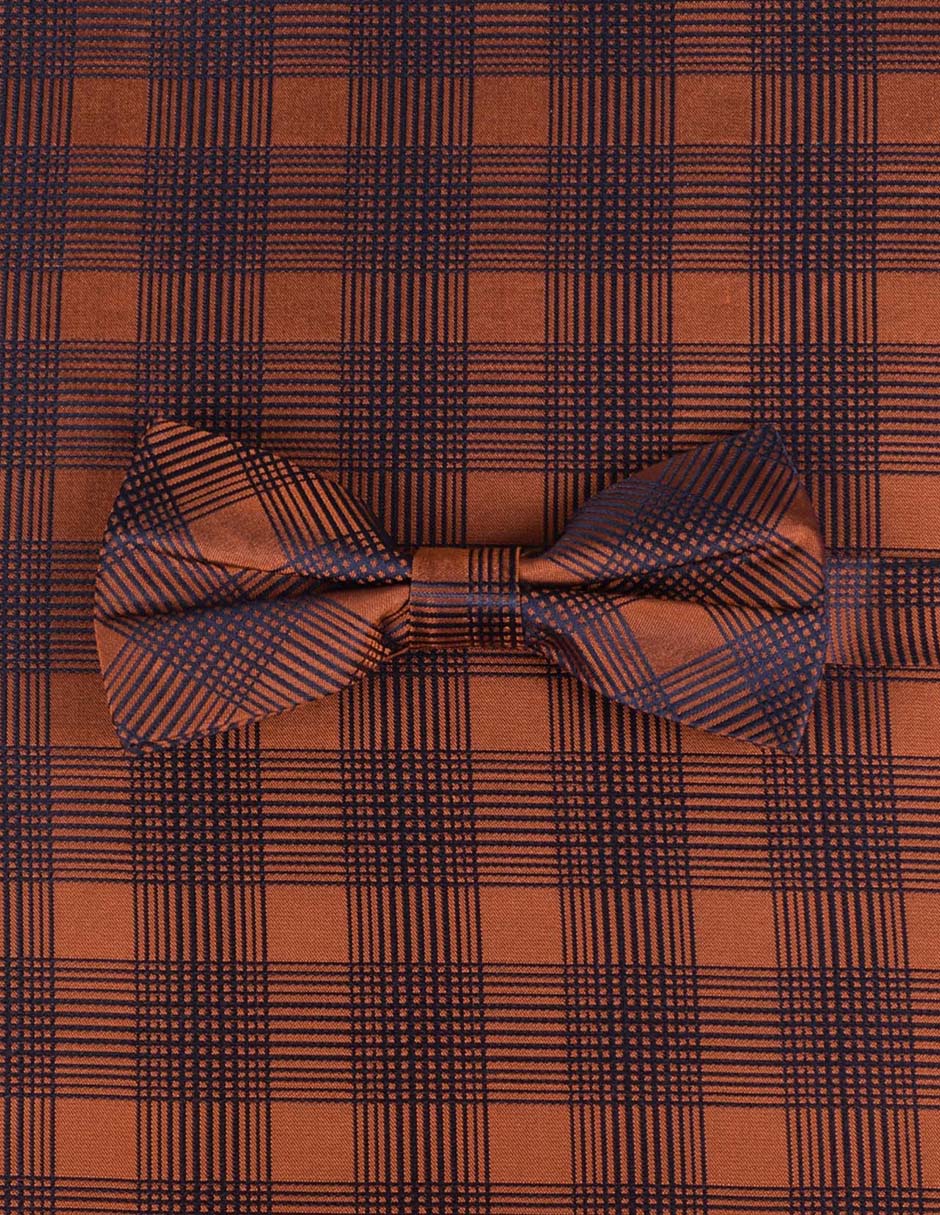 Set moño y pañuelo de seda 3